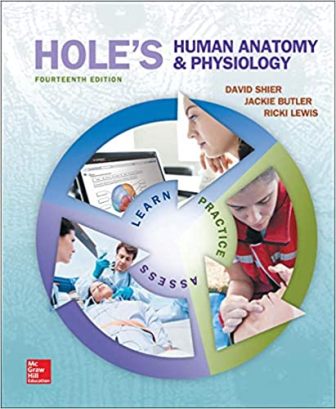 Test Bank for Hole’s Human Anatomy and Physiology 14th Edition Shier