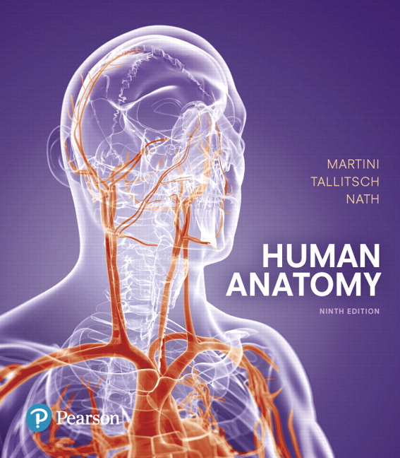Solution Manual for Human Anatomy 9th Edition Martini | 