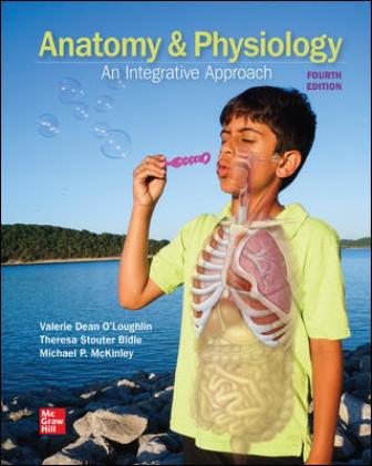 Test Bank for Anatomy & Physiology: An Integrative Approach 4th Edition McKinley