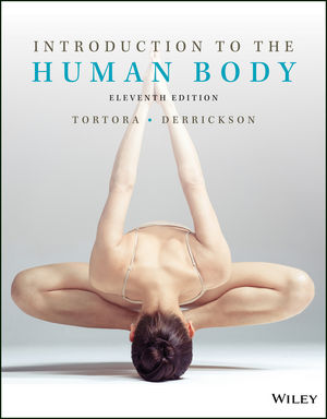 Test Bank for Introduction to the Human Body 11th Edition Tortora | 