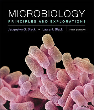Test Bank for Microbiology: Principles and Explorations 10th Edition Black | 