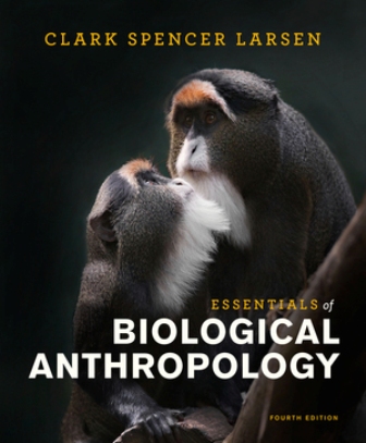 Test Bank for Essentials of Biological Anthropology 4th Edition By Larsen | 