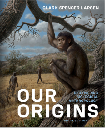 Test Bank for Our Origins 5th Edition Clark Spencer Larsen 