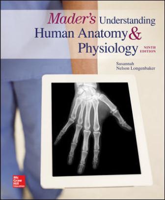 Solution Manual for Mader’s Understanding Human Anatomy & Physiology 9th Edition Longenbaker | 