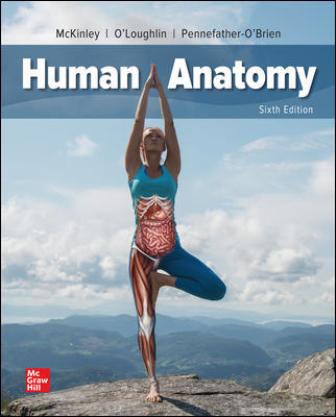 Test Bank for Human Anatomy, 6th Edition, Michael McKinley, Valerie O’Loughlin, Elizabeth Pennefather