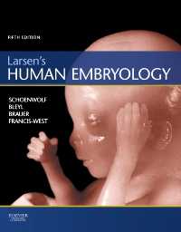 Test Bank for Larsen’s Human Embryology 5th Edition Schoenwolf